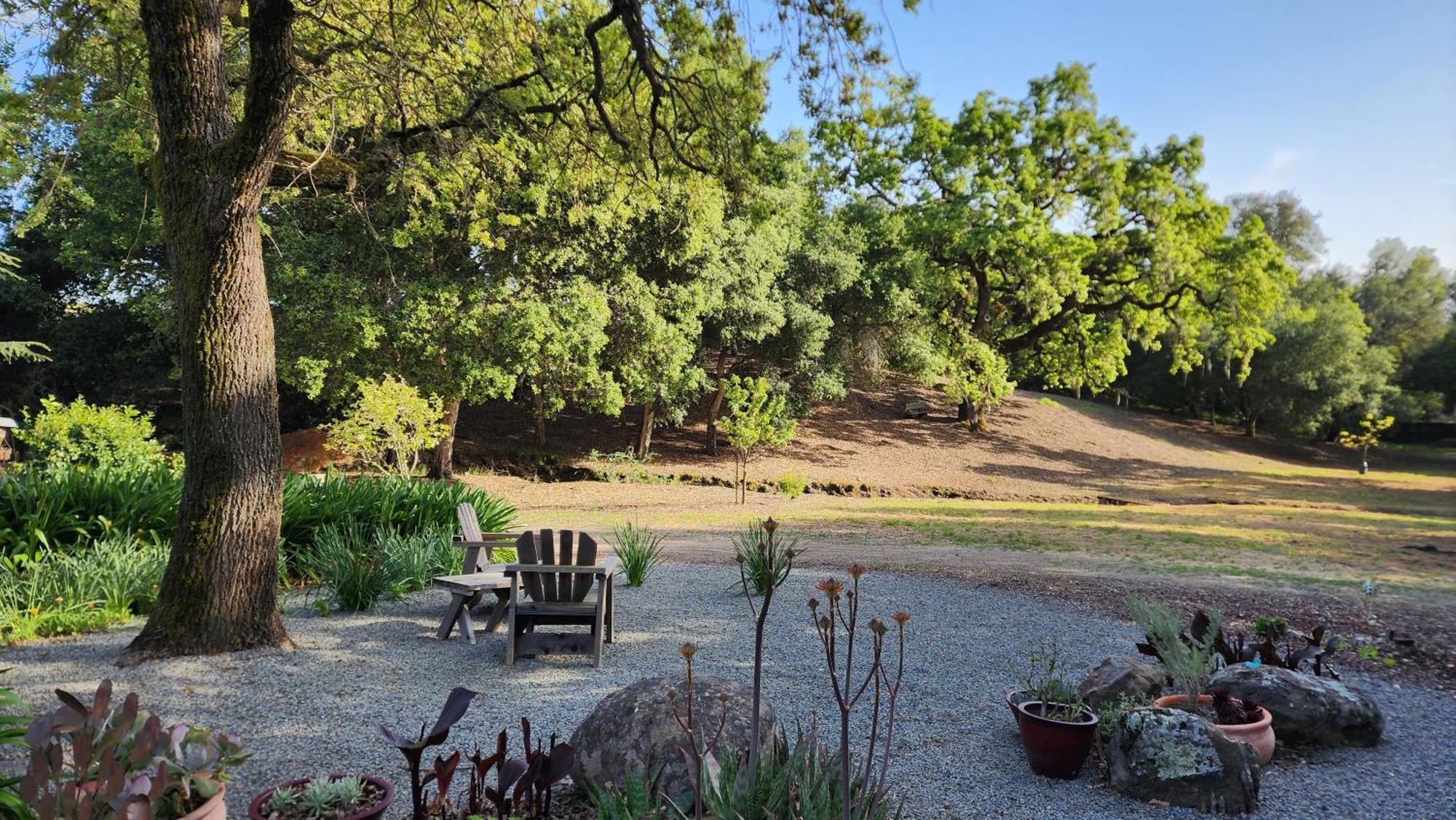 Amitabha Wine Country Cottage Санта Роза Екстериор снимка