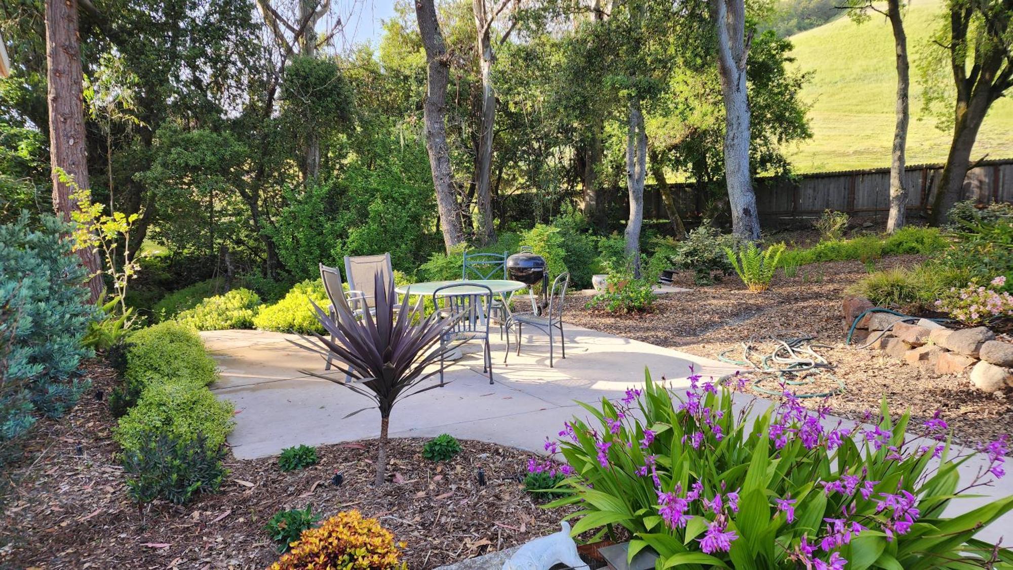 Amitabha Wine Country Cottage Санта Роза Екстериор снимка
